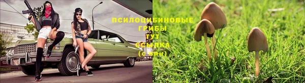 прущая мука Арсеньев