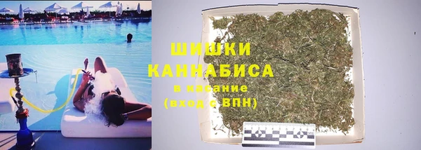 ПСИЛОЦИБИНОВЫЕ ГРИБЫ Алзамай